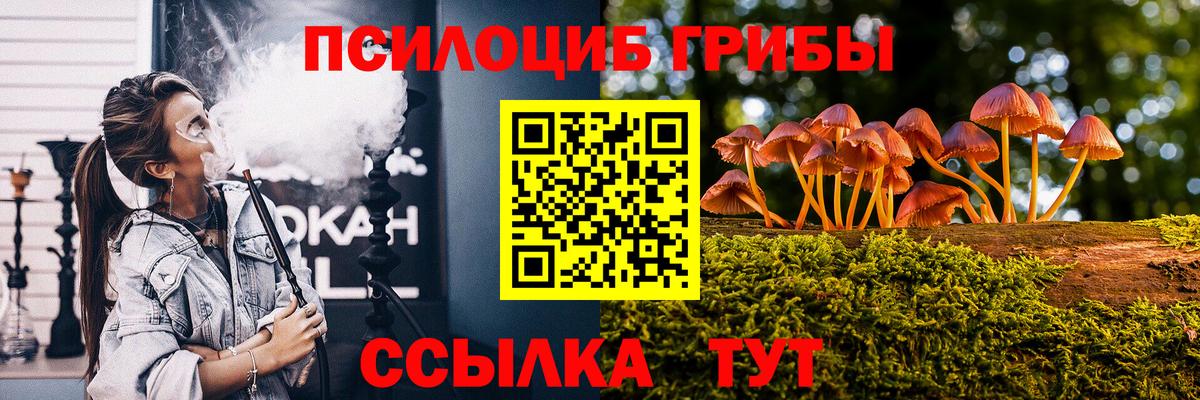 Псилоцибиновые грибы прущие грибы  Вход с VPN  Арзамас 