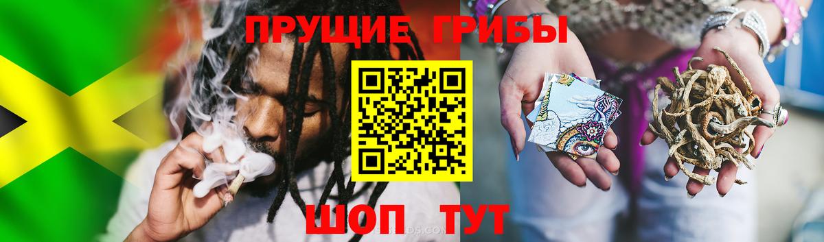 Галлюциногенные грибы GOLDEN TEACHER Арзамас